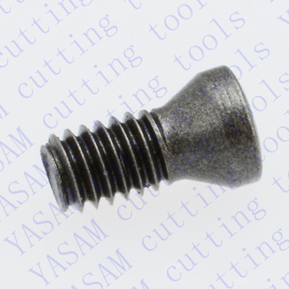 12955-M2.5x6xD3.6xT8 insert screws